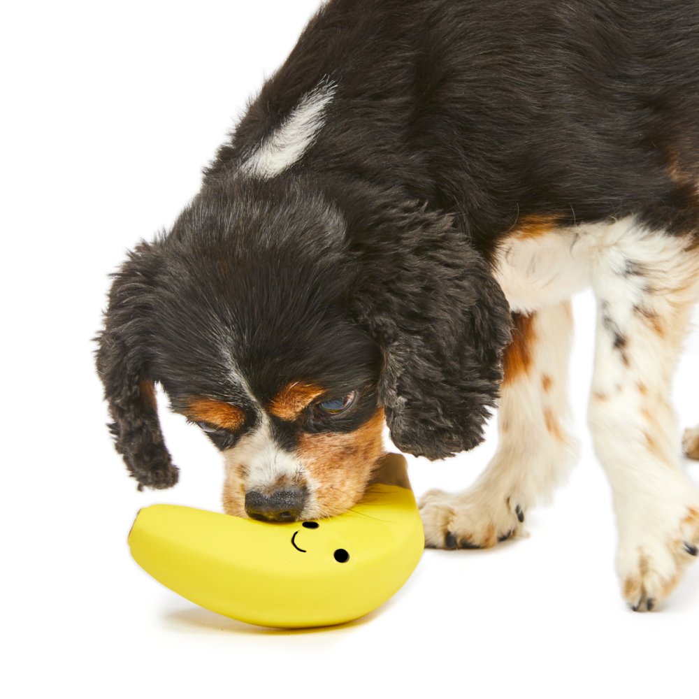 New Latex Banana Foodie Faces Dog Toy