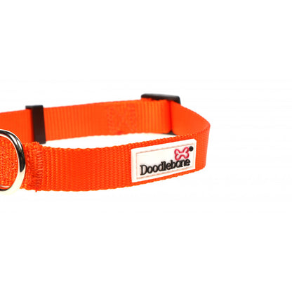 Doodlebone Originals Dog Collar Tangerine Orange