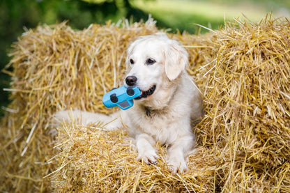 New Percy Pick up Truck Latex Dog Toy