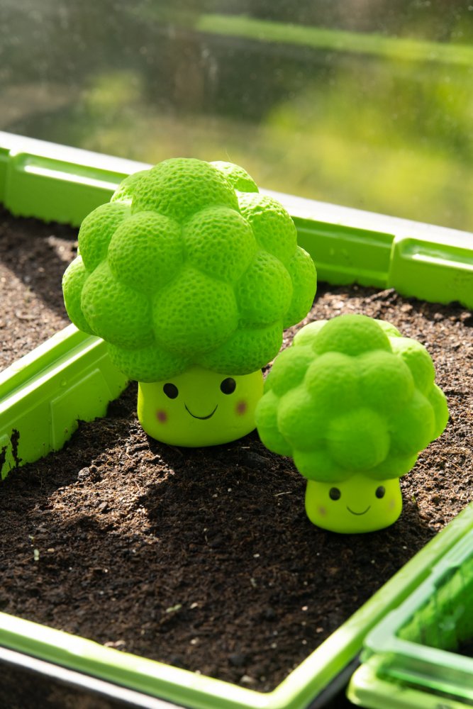 New Petface Foodie Faces Broccoli Dog Toy