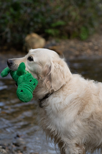 Carlos Crocodile, Petface Planet Sustainable Dog Toy, Sale